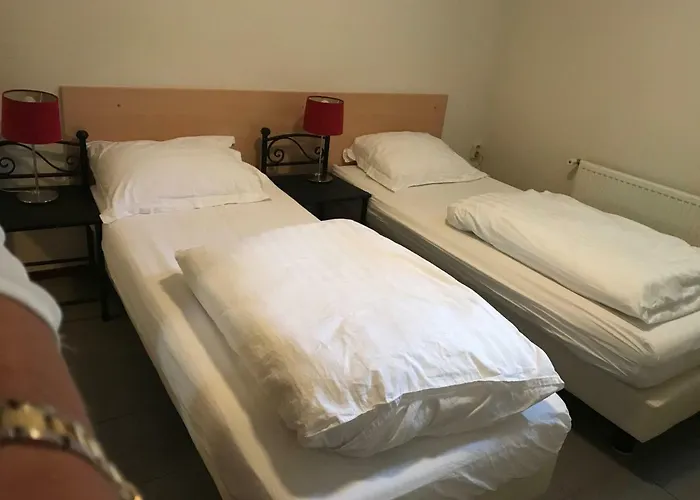 De Goede Ree 1 En 2 Dom wakacyjny Goedereede